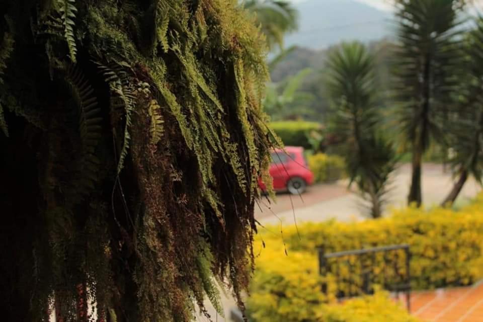 Finca Hotel El Diamante Calarcá 외부 사진