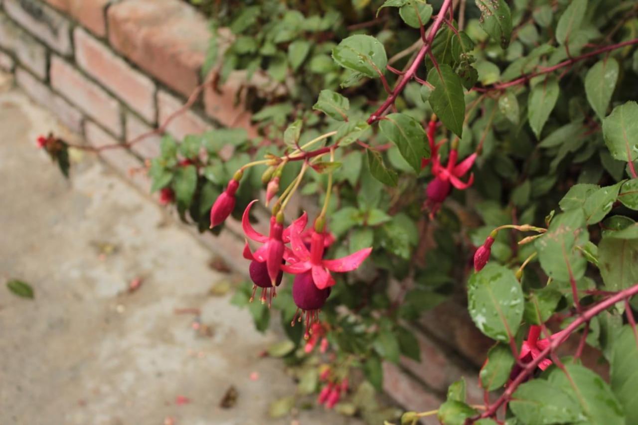 Finca Hotel El Diamante Calarcá 외부 사진