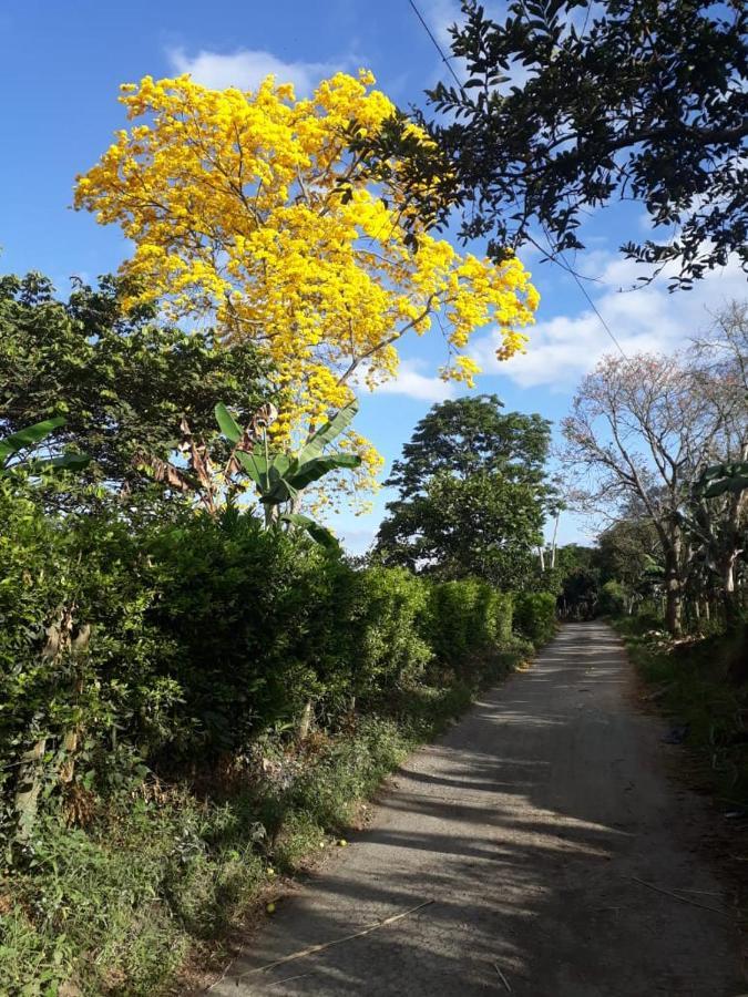 Finca Hotel El Diamante Calarcá 외부 사진