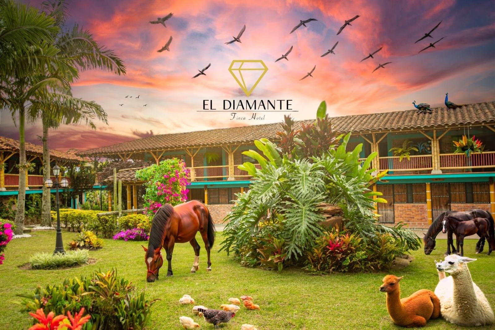Finca Hotel El Diamante Calarcá 외부 사진